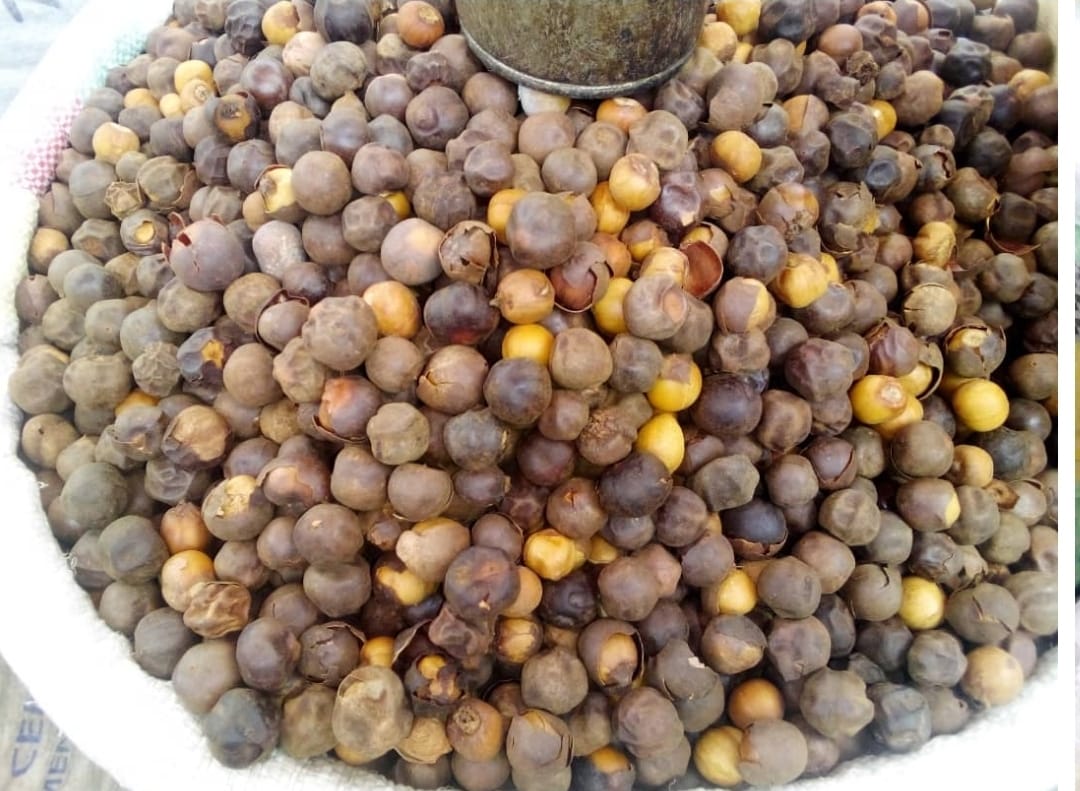 img-WhatsApp Image 2025-05-10 at 05.14.26_354069dd.jpg